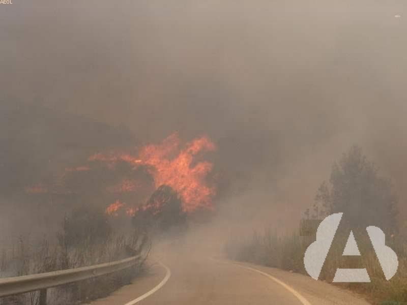 Si una nube de humo disminuye sensiblemente la visibilidad, ¿debe utilizarse…