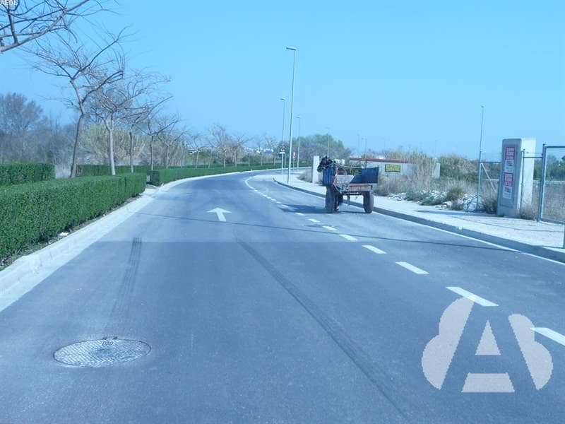 ¿Está permitido circular por una autovía con un vehículo de tracción animal?