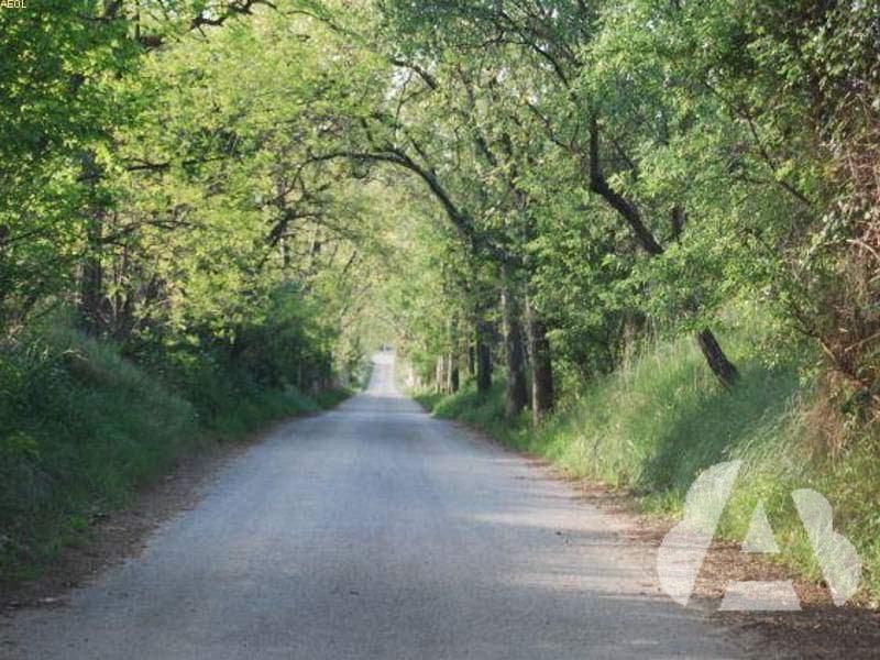 ¿Cuál es la velocidad máxima a la que está permitido circular por esta…
