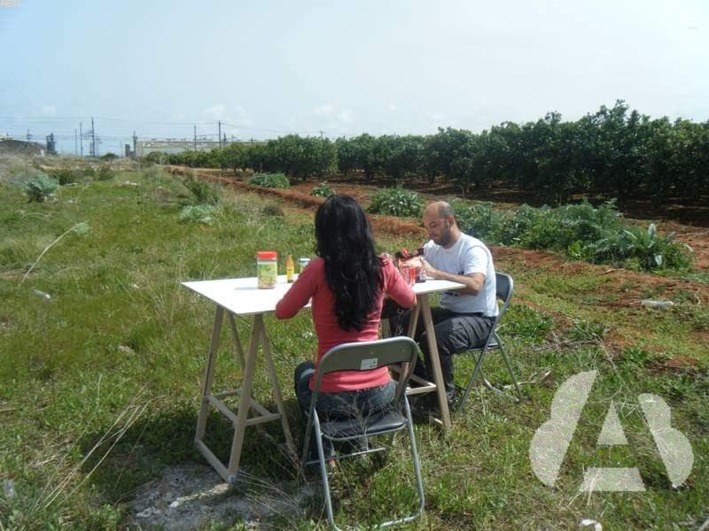 Es aconsejable evitar las comidas copiosas si se va a conducir un vehículo ya…